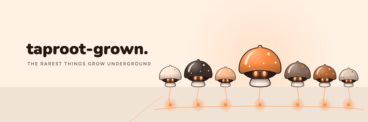 Truffle mushrooms growing on a glowing mycelium line